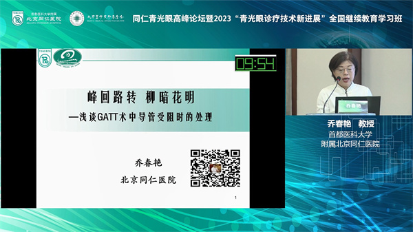 桥春燕.jpg