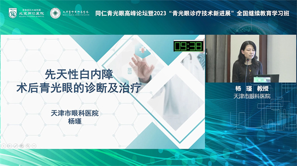 杨瑾.jpg